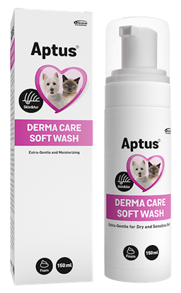 Derma Care™ Soft Wash