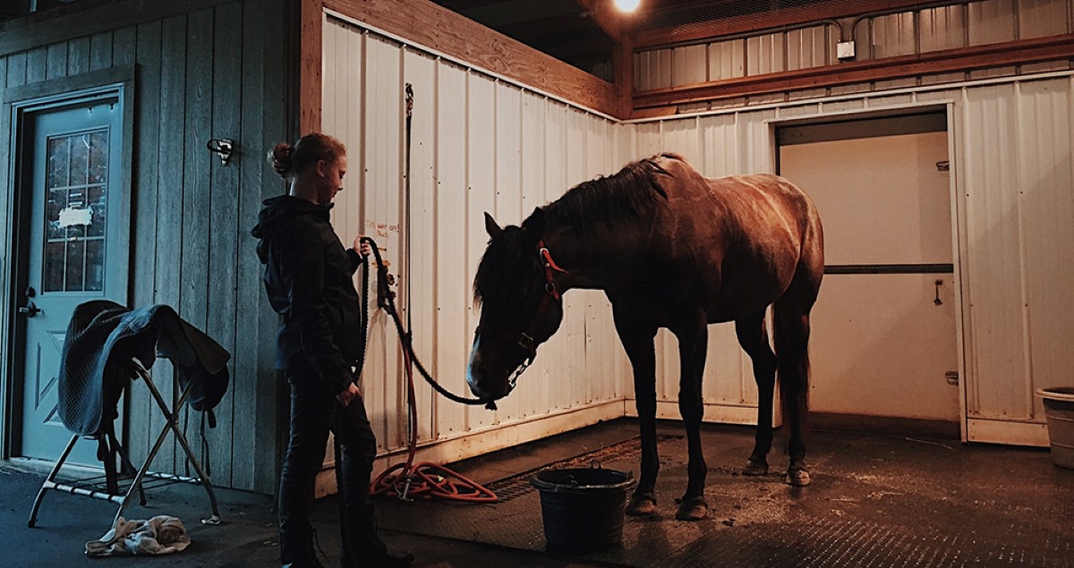 OPAH brand image of horse and owner at stable