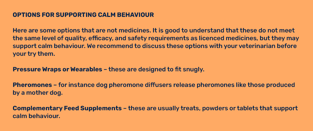 Options for supporting calm behaviour v1.png