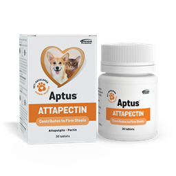 Aptus® Attapectin