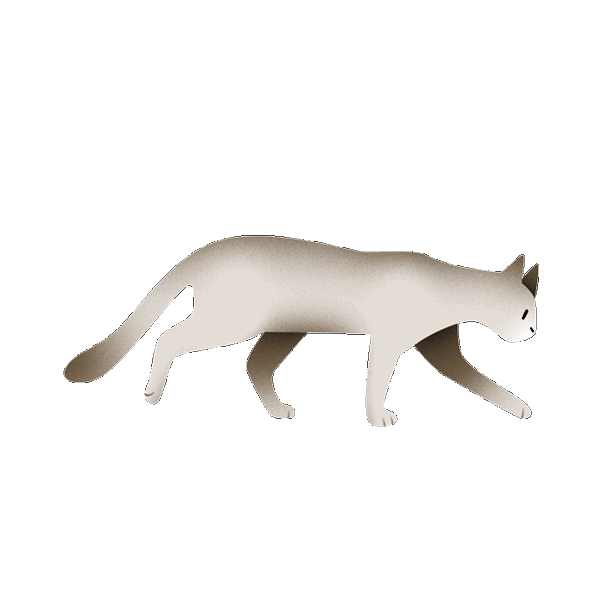 Signs of cat anxiety