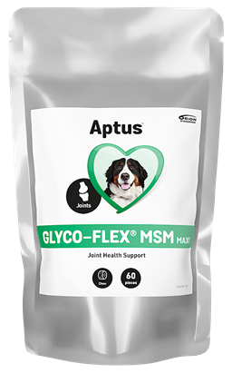 Glyco-Flex MSM Maxi