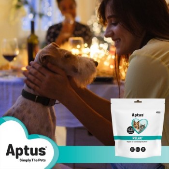 December_Relax_Parties_dark post_2023.jpg