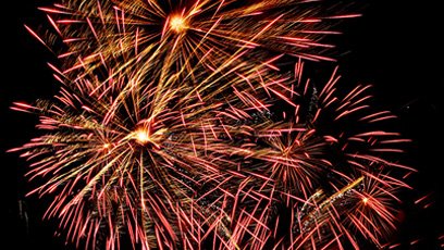 labrador - jul liggende format_2.jpg