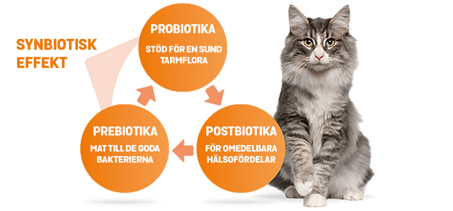 ProPrePostBIOTICS_SymbioticEffect_TEXT.png