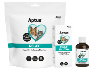 Aptus_Relax_group.png